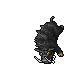 Boar