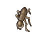 Pelzacz