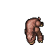 Molerat